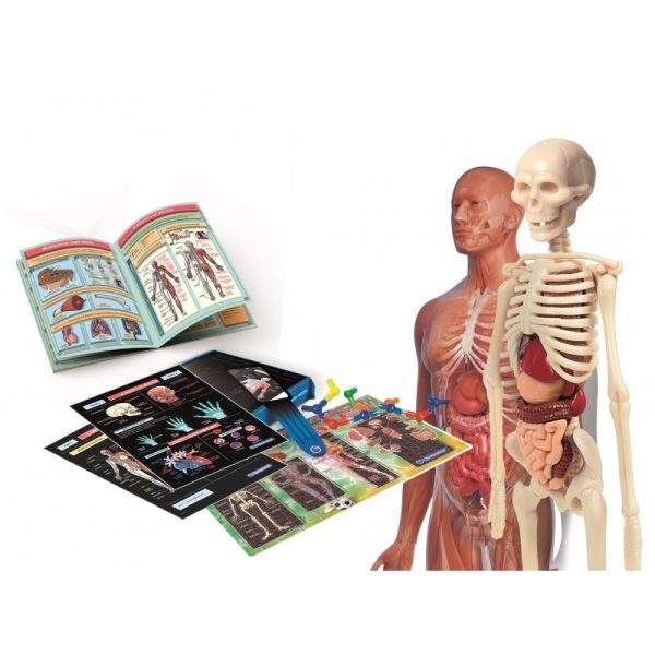 LABORATORIO DE ANATOMIA - Image 2