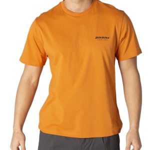 Dickies T-Shirt Homem - 249648